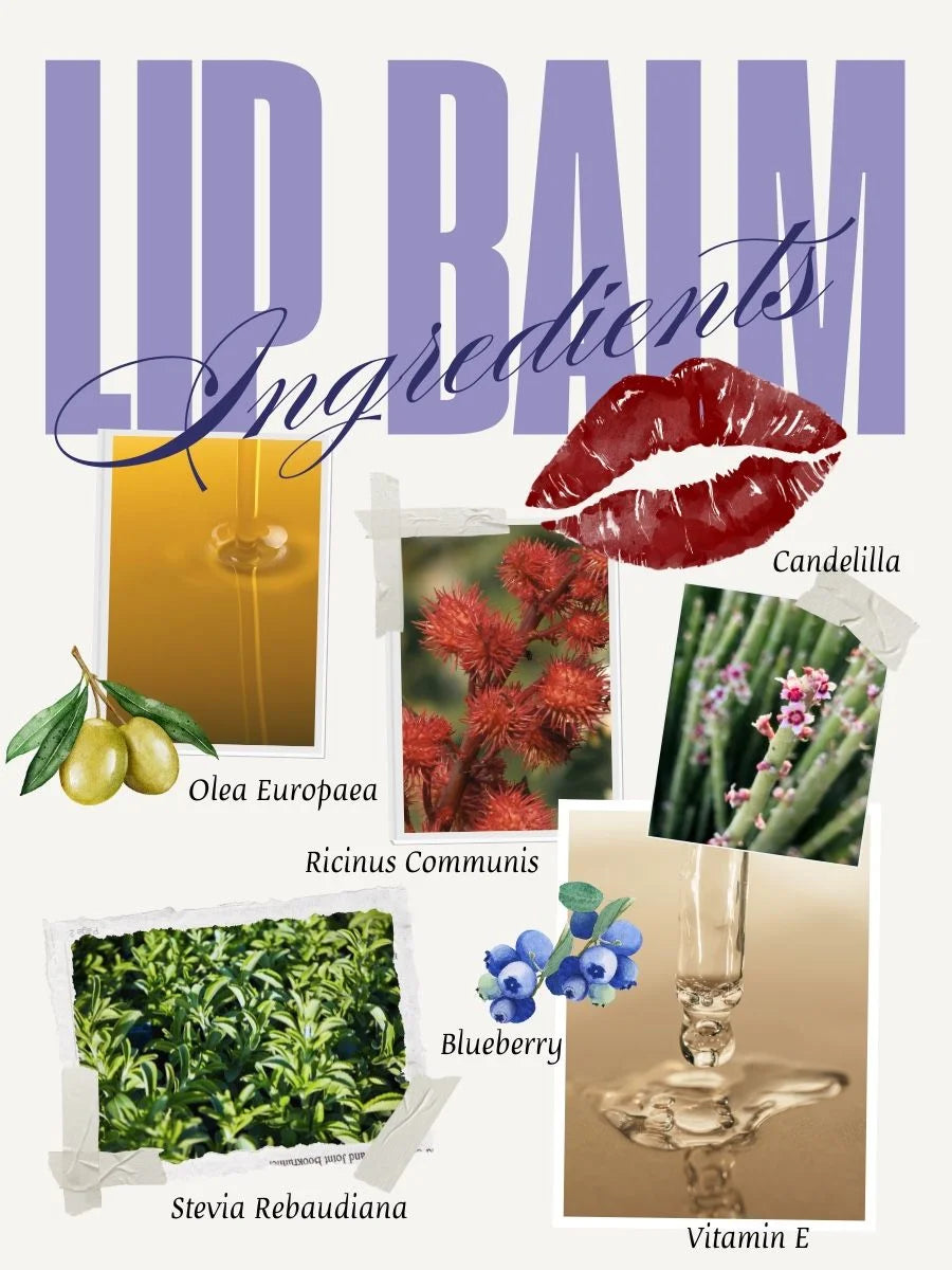 Blueberry Tinted Lip Balm - Getönte, vegane Lippenpflege