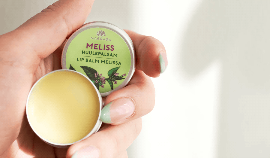 Zitronenmelisse Lippenpflege – natürlicher Lippenbalsam mit Heilpflanzen-Wirkung