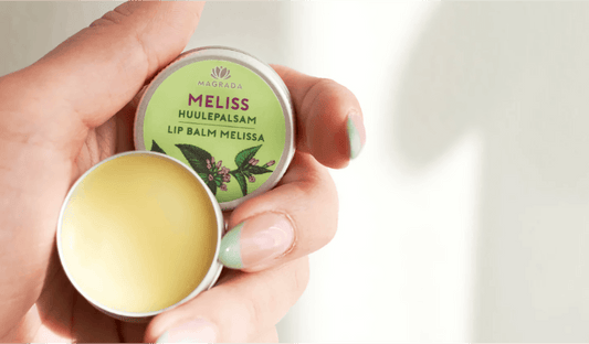 Zitronenmelisse Lippenpflege – natürlicher Lippenbalsam mit Heilpflanzen-Wirkung